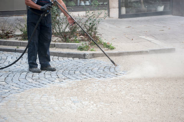 Best Sidewalk and Walkway Cleaning  in Lakewood, CO